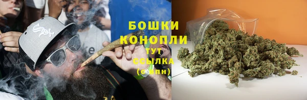 гидропоника Бородино