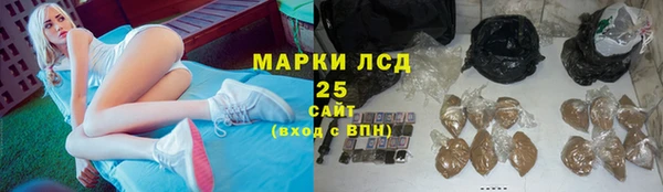 гидропоника Бородино