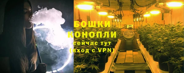 гидропоника Бородино