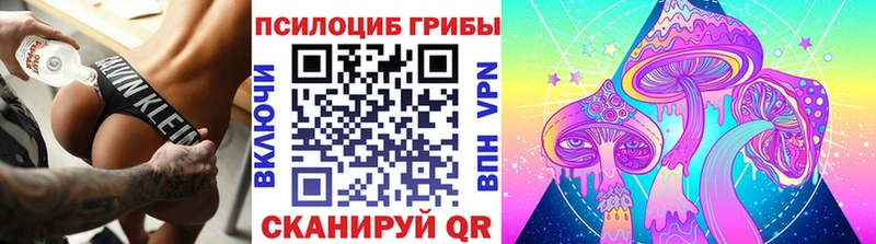 Галлюциногенные грибы прущие грибы  Купить  Кяхта 