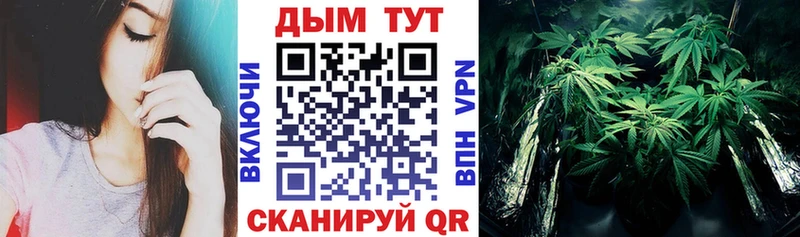 Бошки Шишки Bruce Banner  Купить закладки  Кяхта 